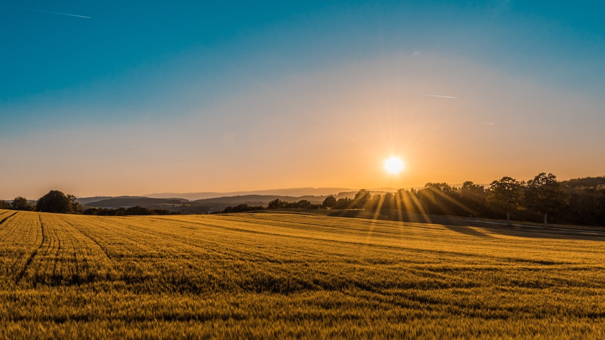 Open crop fields with agro-climatic sensors in Castile